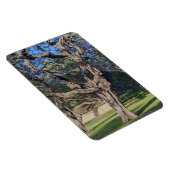 Kiawe Tree Foto Magnet (Rechte Seite)