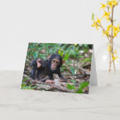 Kibale Chimpanzee Grußkarte - Quiver Karte (Gelbe Blume)