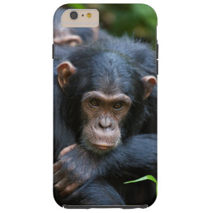 Kibale Schimpanse-Handyfall Tough iPhone 6 Plus Hülle