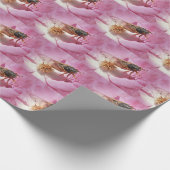 Kicada auf einer Blume Geschenkpapier (Ecke)