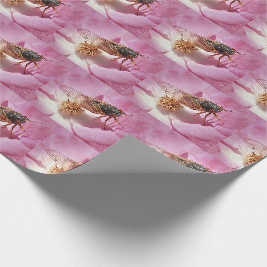 Kicada auf einer Blume Geschenkpapier (Ecke)