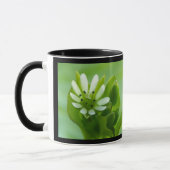 Kicherwelse Blume, Schwarze Rahmen Tasse (Links)