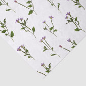 Kicherwelse Seidenpapier (Ausschnitt)