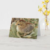 Kick auf Fluffy Weed-Blätter Karte (Gelbe Blume)