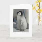 Kick Chat - Pinguin Karte (Gelbe Blume)