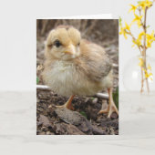 Kick im Garten Karte (Gelbe Blume)