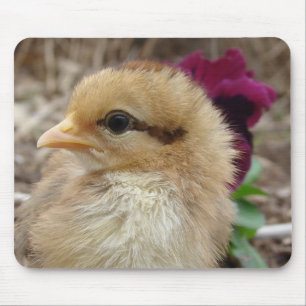 Kick in Pansy Garden Mousepad