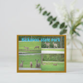 Kickapoo Deer Postkarte (Stehend Vorderseite)