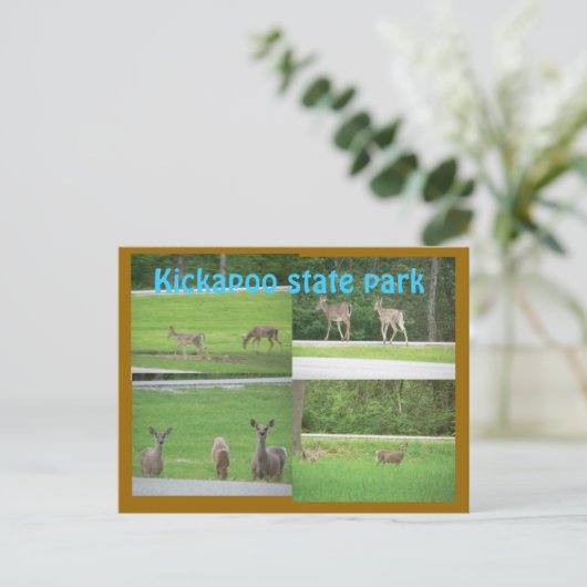 Kickapoo Deer Postkarte (Stehend Vorderseite)