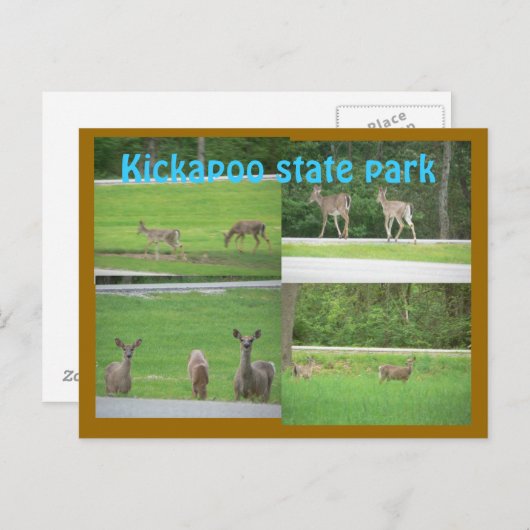 Kickapoo Deer Postkarte (Vorne/Hinten)