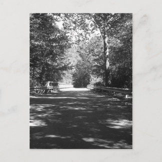 Kickapoo Staat Park Bridge Postcard Postkarte