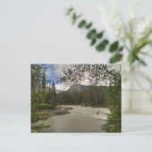 Kicking Horse River Postkarte (Stehend Vorderseite)