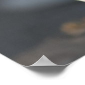 Kid Goat Playing Poster (Ecke)