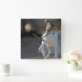 Kid Goat Playing Quadratische Wanduhr (Zuhause)