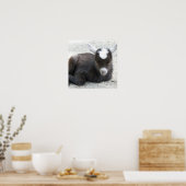 Kid Goat Poster (Küche)
