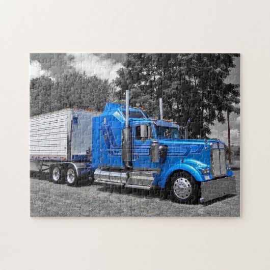 Kidd's Kenwroth W900L Puzzle (Horizontal)