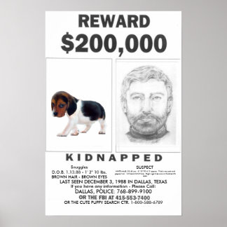 Kidnapped VOLL ZUSTOMIZABLE Poster REWARD
