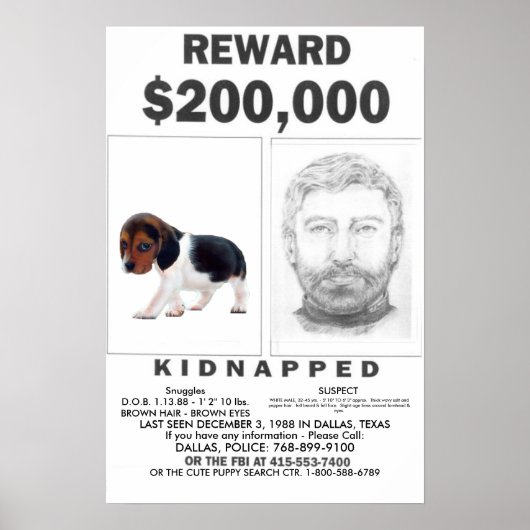 Kidnapped VOLL ZUSTOMIZABLE Poster REWARD (Vorne)