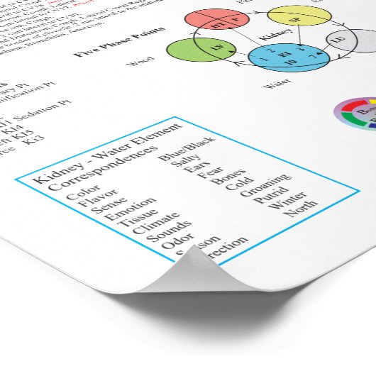 Kidney Meridian Acupuncture Points Poster (Ecke)