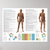 Kidney Meridian Acupuncture Points Poster (Vorne)