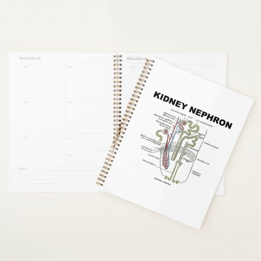 Kidney Nephron Gray's Anatomy-Lehrbuch Planer (Anzeige)