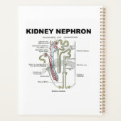 Kidney Nephron Gray's Anatomy-Lehrbuch Planer (Rückseite)