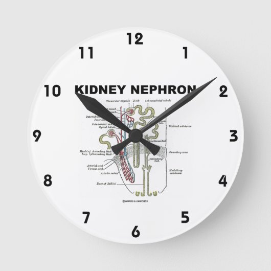 Kidney Nephron Gray's Anatomy-Lehrbuch Runde Wanduhr (Vorderseite)
