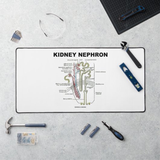 Kidney Nephron Gray's Anatomy-Lehrbuch Schreibtischunterlage (Arbeitsplatz)