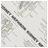 Kidney Nephron Gray's Anatomy-Lehrbuch Stoff (Nahaufnahme)