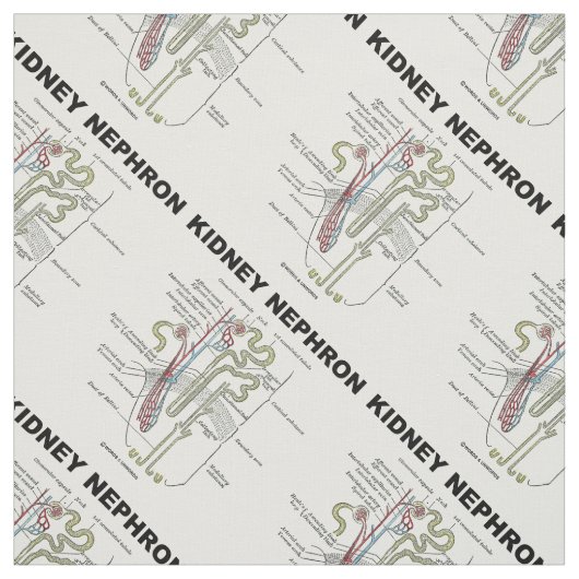 Kidney Nephron Gray's Anatomy-Lehrbuch Stoff (Muster)