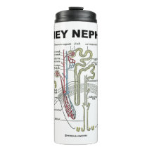 Kidney Nephron Gray's Anatomy-Lehrbuch
