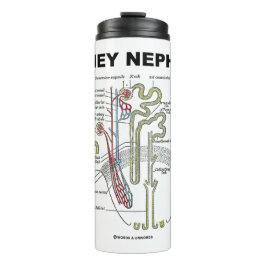Kidney Nephron Gray's Anatomy-Lehrbuch Thermosbecher