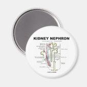Kidney Nephron Magnet (Vorderseite/Rückseite)