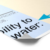 Kidney Nephron Molar Transport Diagramm Poster (Ecke)