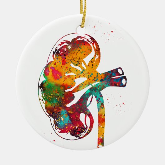 Kidney Sektion Keramik Ornament (Vorne)