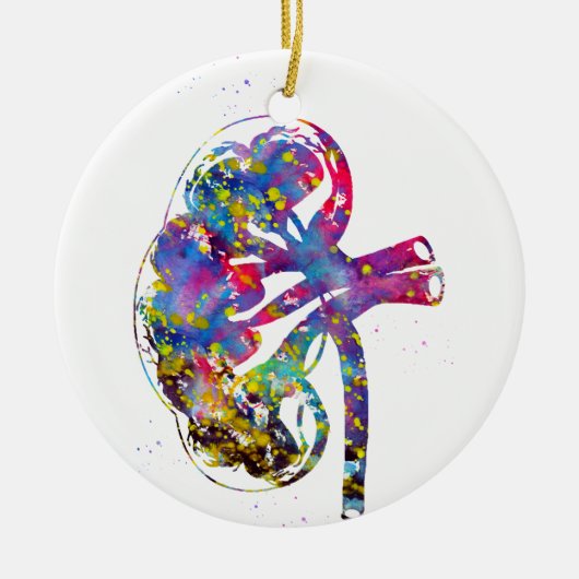 Kidney Sektion Keramik Ornament (Vorne)