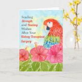 Kidney Transplant Healing Scarlet Macaws, Hibiscus Karte (Gelbe Blume)
