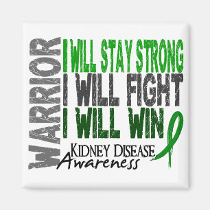 Kidnney Disease Warrior Magnet