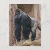 Kidogo the Silverback Strike a Pose on a Log Postkarte (Vorderseite)