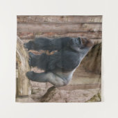 Kidogo the Silverback Strike a Pose on a Log Wandteppich (Vorderseite (Horizontal))
