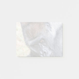 Kidogo (Willie B Jr.) im Zoo Atlanta Post-it Klebezettel