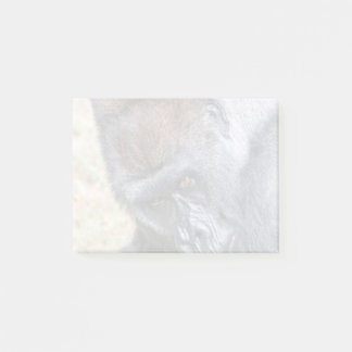 Kidogo (Willie B Jr.) im Zoo Atlanta Post-it Klebezettel