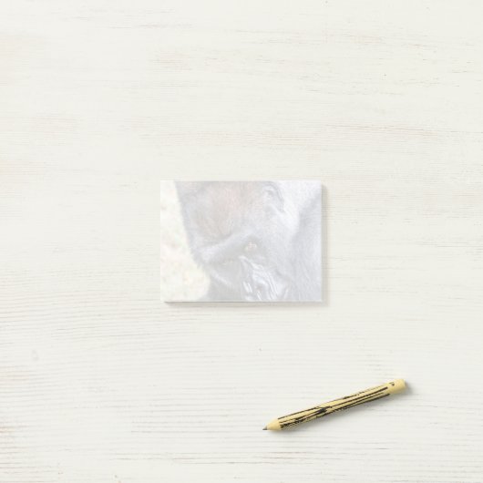 Kidogo (Willie B Jr.) im Zoo Atlanta Post-it Klebezettel (Auf Schreibtisch)