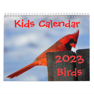Kids Calendar - 2023 - Birds Kalender