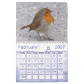 Kids Calendar - 2023 - Birds Kalender (Feb 2027)