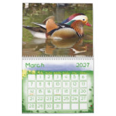 Kids Calendar - 2023 - Birds Kalender (Mär 2027)
