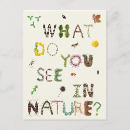 Kids Naturalist Nature Explorers Postkarte