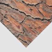 Kiefer-Barken-Beschaffenheit Seidenpapier (Ausschnitt)