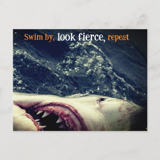 Kiefer Feiertagspostkarte (Vorderseite)