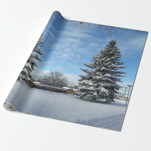 Kiefer im Schnee Geschenkpapier (Ungerollt)